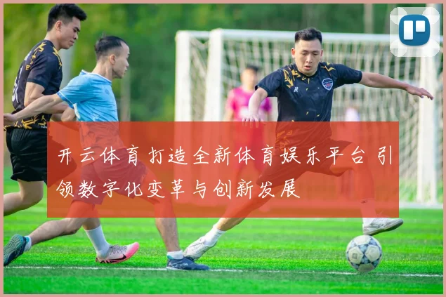 开云体育打造全新体育娱乐平台 引领数字化变革与创新发展