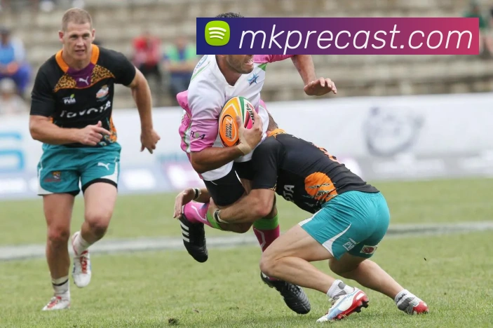 开云平台生态图